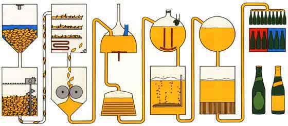 Comment est fabriquée la bière ? Toutes les étapes