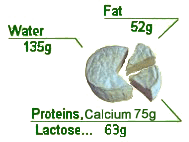 Composition of Camembert